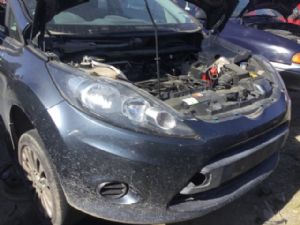 Ford Fiesta WS 2009-on