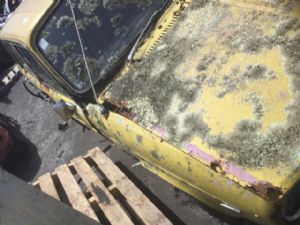 Austin Maxi All Series