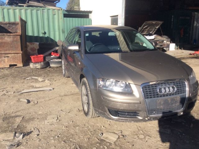 Audi A3 8P 2003-2008