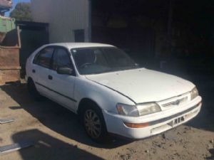 Toyota Corolla AE101 09/94-11/99