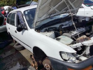Toyota Corolla AE101 09/94-11/99