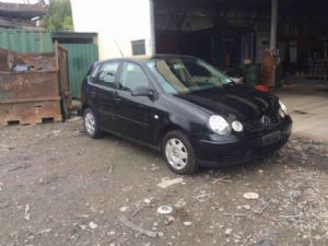 Volkswagen Polo 9N 2005-2009