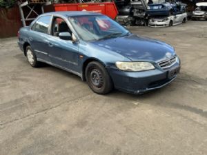 Honda Accord CF