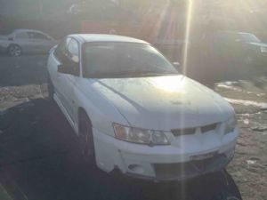 Holden Commodore Other