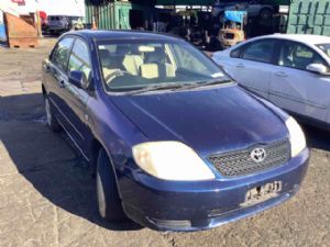 Toyota Corolla Other