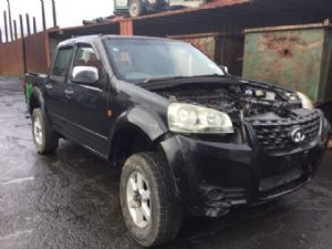 Great Wall Motors V-Series V200