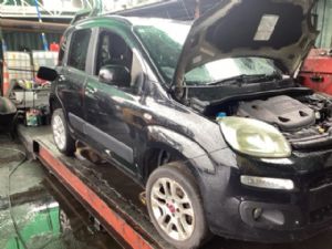 Fiat Panda Panda