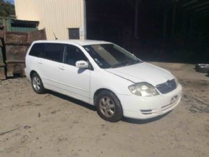 Toyota Corolla NZE121