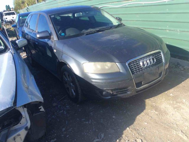 Audi A3 8P 2003-2008