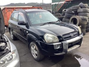 Hyundai Tucson JM 2007