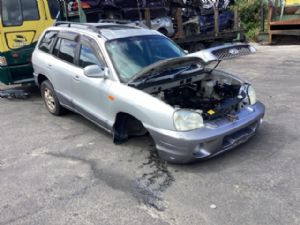 Hyundai Santa Fe SM 01/00-03/06