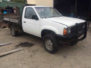 Nissan Navara D21 1987-1991