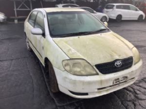 Toyota Corolla ZZ141