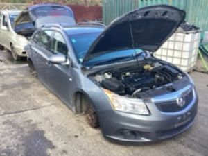Holden Cruze Other