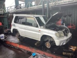 Mitsubishi Pajero Jnr Other