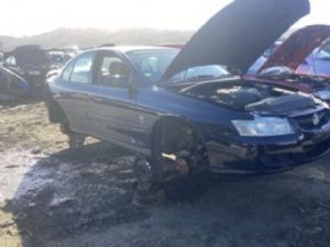 Holden Commodore Excutive  VZ